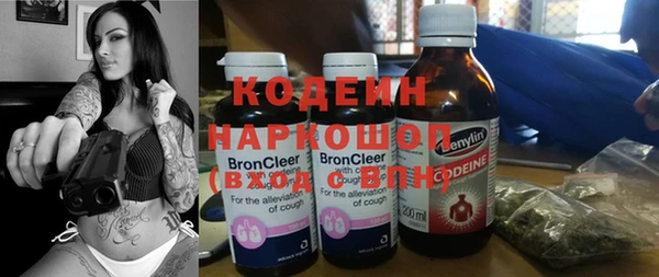 индика Елабуга