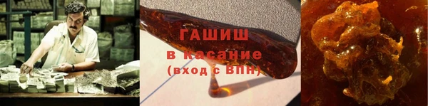 индика Елабуга