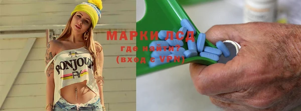 индика Елабуга