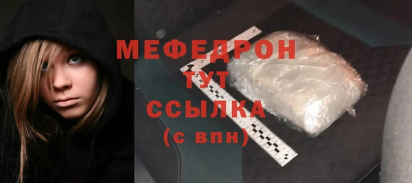 индика Елабуга