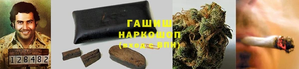 индика Елабуга