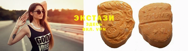 индика Елабуга