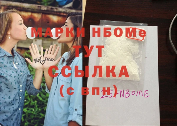 индика Елабуга