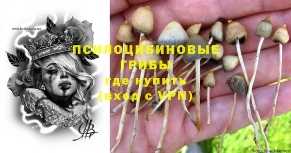 герыч Елизово