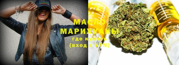 индика Елабуга