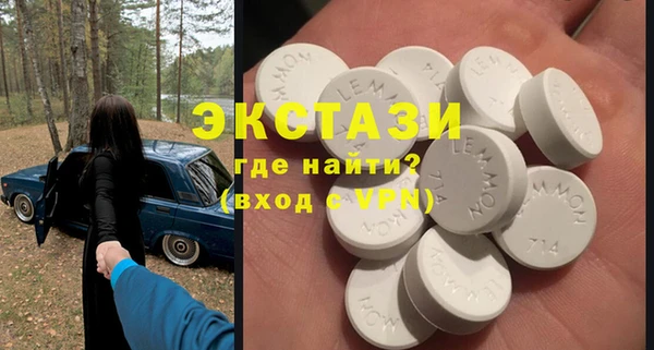 индика Елабуга