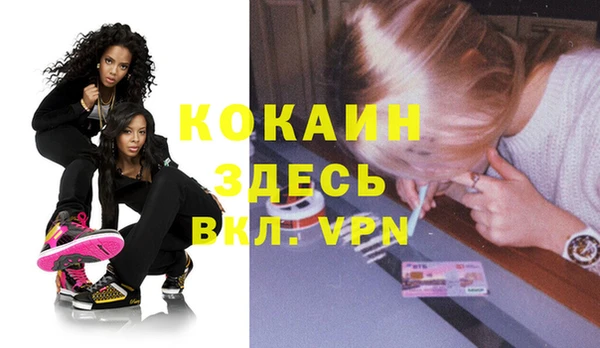 метадон Ельня