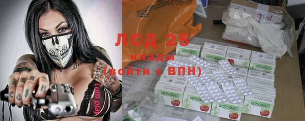 индика Елабуга