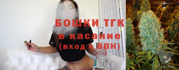 индика Елабуга