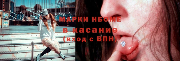 индика Елабуга